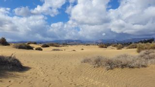 2023-GC--Mapalomas dunas-S123-062.jpg